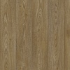 Линолеум Tarkett Triumph Noble Oak 3