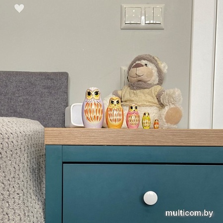 Развивающая игра Брестская Матрешка Совушки (набор 5 шт)