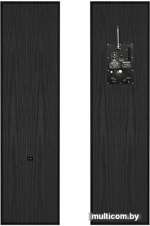 Колонка для вечеринок Ginzzu GM-329