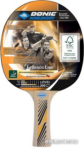 Ракетка для настольного тенниса Donic-Schildkrot Legends 300 705234