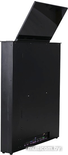 Монитор Wize WR-17GF