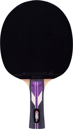 Ракетка для настольного тенниса Roxel Stellar