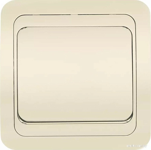 Выключатель SmartBuy SBE-02i-10-SW1-0-c