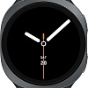 Умные часы Samsung Galaxy Watch8 40 мм LTE (графит)