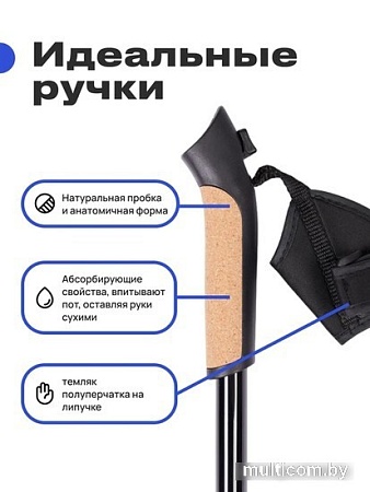 Палки для скандинавской ходьбы RoadLike Scandi 405408 (черничный)