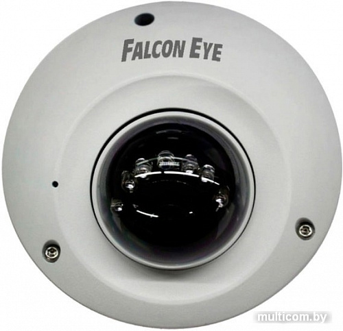 IP-камера Falcon Eye FE-IPC-D2-10pm