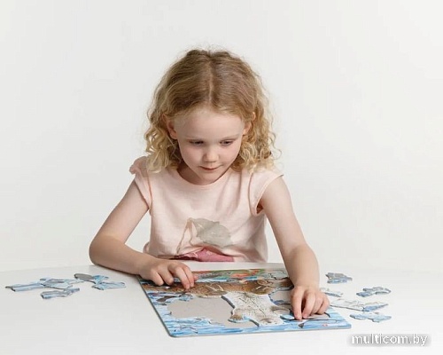 Пазл Larsen Полярный медведь FH42