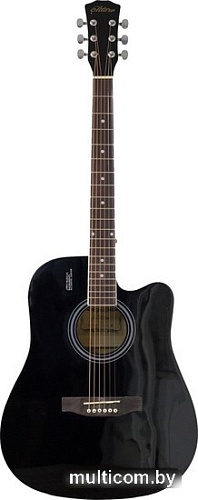 Акустическая гитара Elitaro E4110 BK