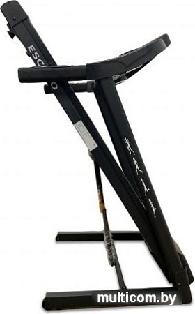 Электрическая беговая дорожка DFC Escudo T165