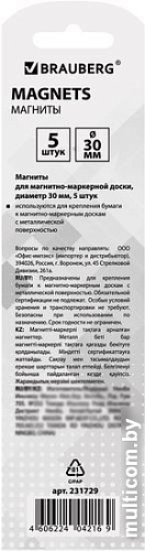 Набор магнитов BRAUBERG 231729 (5шт)