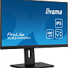 Монитор Iiyama ProLite XUB2492QSU-B1