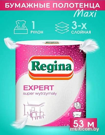 Бумажные полотенца Regina Expert (3 слоя)