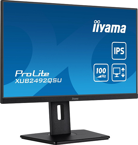 Монитор Iiyama ProLite XUB2492QSU-B1