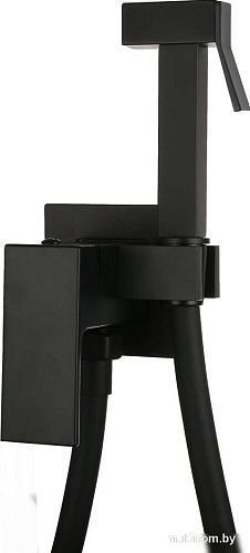 Гигиенический душ Roxen Caspia 500960-B