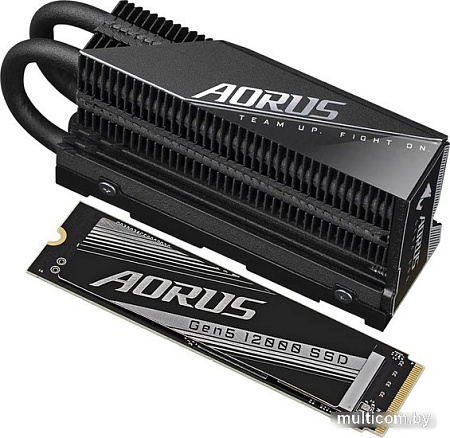 SSD Gigabyte Aorus Gen5 12000 1TB AG512K1TB