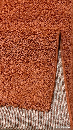 Ковер для жилой комнаты Moldabela Shaggy Geko Прямоугольник 1039 1 30933 (1.33x1.7)