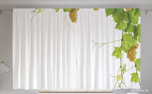 JoyArty Ветка винограда p_21590 (145x180)