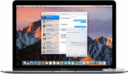 Ноутбук Apple MacBook (2017 год) [MNYG2]