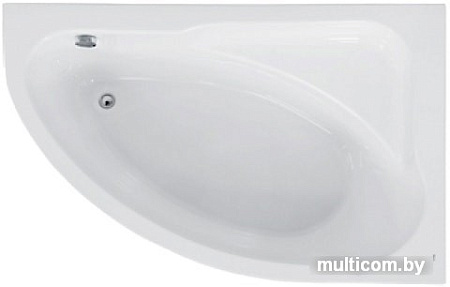 Ванна Roca Roca Welna 160x100L ZRU9302998