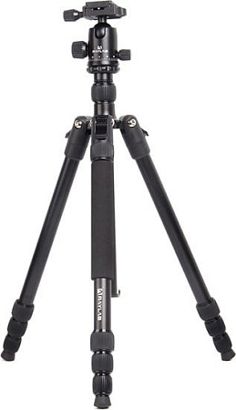 Трипод Raylab Pro 70 (с головой)