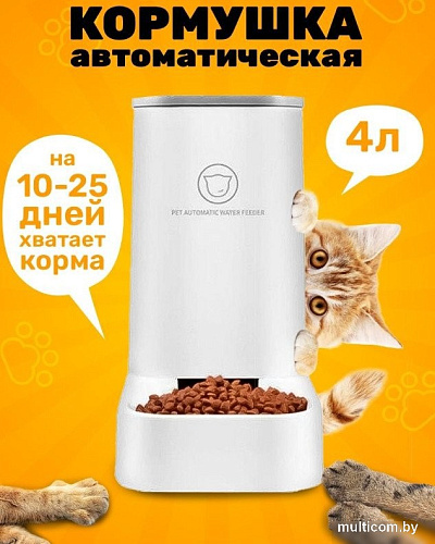 Кормушка электронная Classmark 21101605