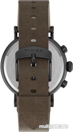 Наручные часы Timex TW2T69000