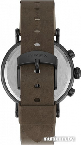 Наручные часы Timex TW2T69000