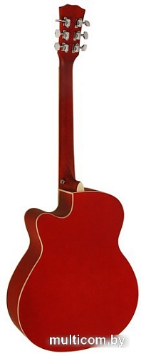 Акустическая гитара Elitaro E4020 RDS