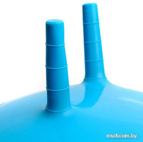 Гимнастический мяч Gold Cup 45BL (синий, с рисунками)