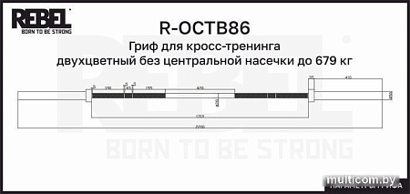 Гриф для штанги Rebel R-OCTB86