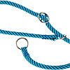 Ошейник-удавка Ferplast Sport Extreme CS8/50 77255415 (черный/синий)