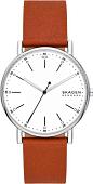 Наручные часы Skagen SKW6903