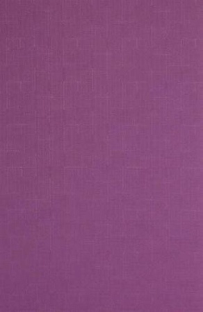 Рулонные шторы Lm Decor Лайт LM 30-06G 200x185