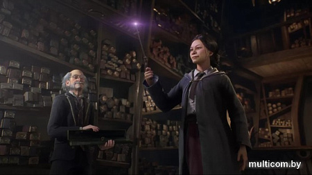 Hogwarts Legacy для PlayStation 4