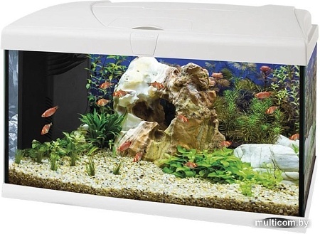 Аквариумный набор Ferplast Capri 50 Led 60 л (белый)