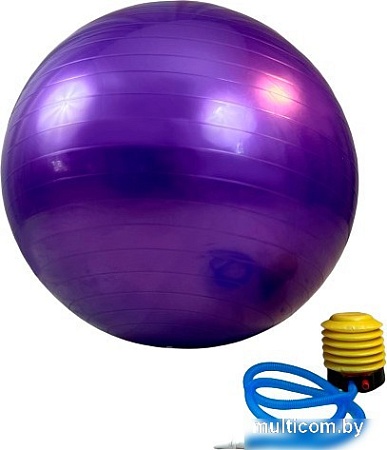 Гимнастический мяч Calviano с насосом 55 см (фиолетовый)