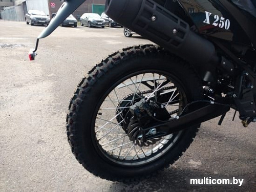 Мотоцикл M1NSK X 250