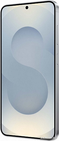 Samsung Galaxy S25 SM-S931B 12GB/256GB (серый)