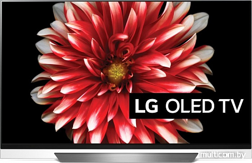 Телевизор LG OLED65E8