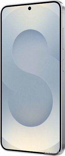 Samsung Galaxy S25 SM-S931B 12GB/256GB (серый)