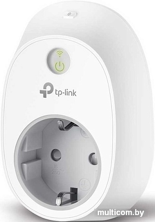 Розетка TP-Link HS100