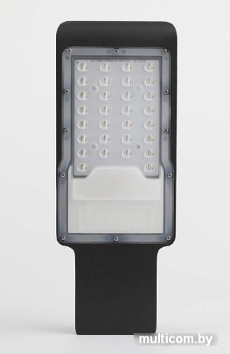 Уличный накладной светильник ЭРА SPP-503-0-30K-080