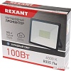 Уличный прожектор Rexant 605-005