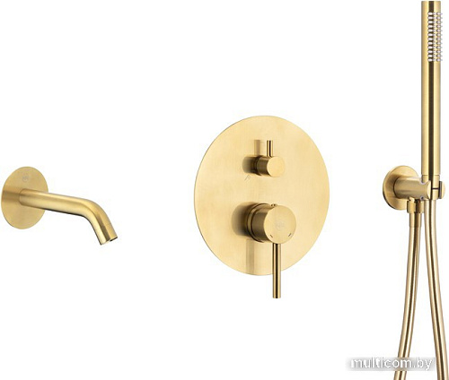 Душевой гарнитур Armatura Moza Gold 5039-401-31
