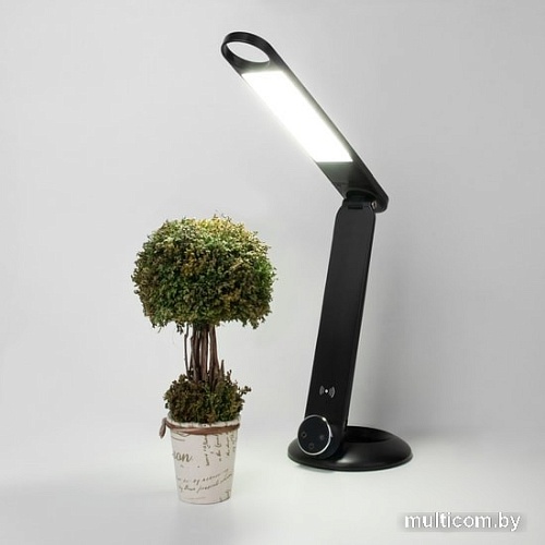 Настольная лампа Евросвет 80428/1 (черный)