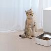 Кормушка электрическая Xiaomi Smart Pet Food Feeder XWPF01MG-EU (европейская версия)