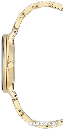 Наручные часы Anne Klein 3750GMGB