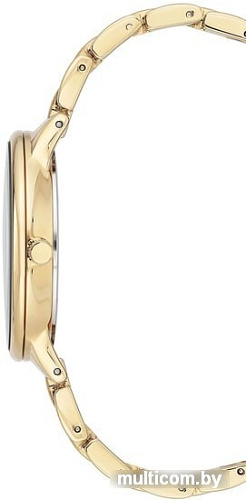 Наручные часы Anne Klein 3750GMGB