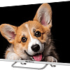Телевизор Topdevice 32&amp;quot; SMART TV YаOS 03 (белый)