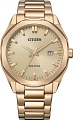 Наручные часы Citizen Eco Drive BM7603-82P